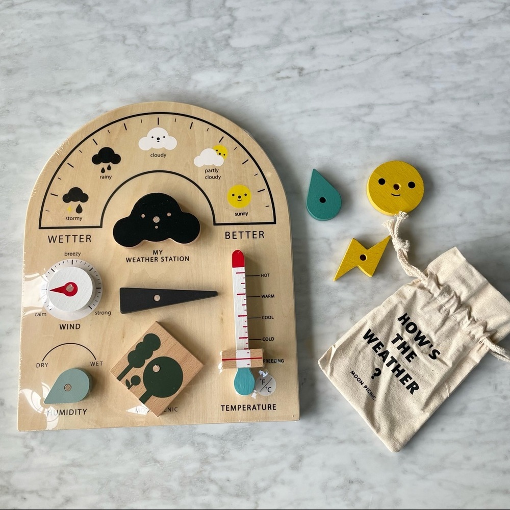 Montessori wood weather chart